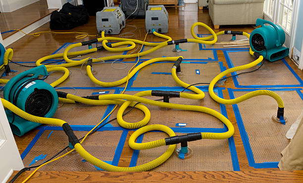 Professional Crawl Space Water Removal technician working in Roosevelt, NY